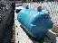 Imagini pentru anunt: Vand fosa septica 2000 litri  1st Criber