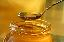 Vand miere de albine BIO si familii foarte productive