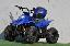 Imagini pentru anunt: ATV Big Foot 125cc Modelul S 7RG