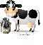 Bidoane inox transport lapte 25 litri cu capac