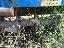 Imagini pentru anunt: Freza agricola Piatra Neamt 2 metri