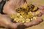 Imagini pentru anunt: Detector de metale inchiriat  detector comori aur Cluj si toate tara