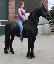 Imagini pentru anunt: Un cal Friesian pentru adoptare gratuit  toate rotund