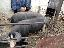 Imagini pentru anunt: Vând porci de carne cu greutatea intre 130-140kilograme  rasa Pietran