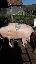 Imagini pentru anunt: Vand 3 porci la pretul de 7 lei kg negociabil