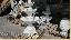 Imagini pentru anunt: Fântană arteziană cu 3 farfurii  alb marmorat model F2