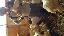 Imagini pentru anunt: Capre de vanzare romanesti 150 lei negociabil