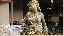 Imagini pentru anunt: Statuetă domnița cu flori  auriu patinat model S50