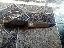 Imagini pentru anunt: Cutit de vanatoare lama winchester